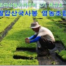 산림영농조합
