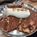 꼼돼지 이미지