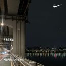 시흥대로59길 | 벅찬 봄날이 시들 때