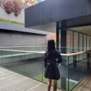 무림모터스 | 인내심이 바닥을 기어다니는 요즘❤