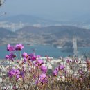 흥국사길 이미지