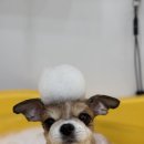 이웃집 미용실 이미지