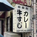 카레집 | 추성훈 카레 | 영상 보고 다음날 바로 간 도쿄 노포 카레집 솔직 후기