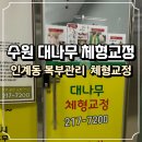 수원-1334 | 인계동 복부관리 뱃살케어 받고 온 솔직후기ㅣ수원 대나무체형교정