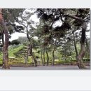기룡솔밭 네이버블로그