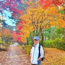 오현로20길 이미지