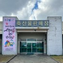 서귀포시축협 산지육가공공장 | 제주111일차-살면서 얻어지는 소소한 정보들
