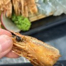 득이네횟집 | [청주 율량동 맛집] 바닷가포차 내돈내산 후기 생새우회 맛집 쫀득탱글달달한 시즌메뉴 추천
