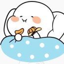 과일팜팜 이미지