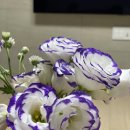 구름들천 이미지