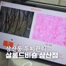세븐일레븐 울산삼산웨딩점 | 울산 삼산동 두피관리 살롱드비숑 삼산점 프리미엄 헤드스파