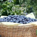 한샘농장 이미지