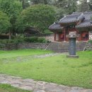 유림-1146 이미지