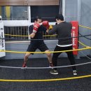 태우복싱짐 네이버블로그