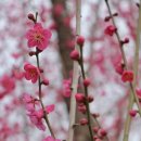 남평문씨본리세거지 주차장 이미지