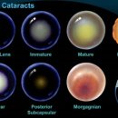 시그널동물병원 이미지