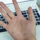 도라방스 이미지