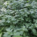 용규농장 이미지