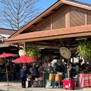 시아의 여행 | 태국 치앙마이 여행 8편_징짜이마켓, 시아국수, 마야몰