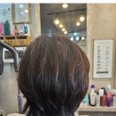 준헤어 | 울진 준헤어에서 완성한 힙한 허쉬컷 분위기 변신 후기