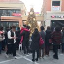 파파트리