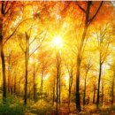 어라운드스터디카페 경산점 이미지