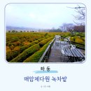 하동 여행 녹차밭 카페 매암제다원 메뉴 가격 주차