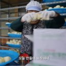 정성찐빵 이미지