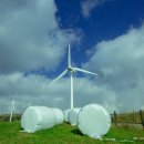 소나무목장 이미지