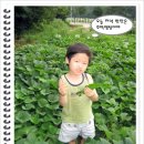 준원농장 이미지