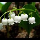 캔들웨이 이미지