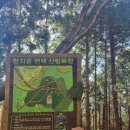 개금반도보라아파트 옆 체육시설 | 영도 봉래산 둘레길 타파! 산 바다와 어우러진 트래킹 장소 추천 (주차 가는법 코스 소요시간)