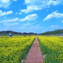 경포저류지 이미지