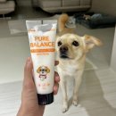 고양이 발바닥 | 퓨어프렌즈 발바닥밤 강아지고양이겸용 김시루 사용후기 (사람 발바닥에도 좋아요)