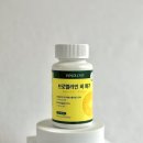 이안올로지 이미지