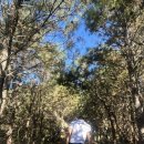 금정산 | 금정산 등산 후기 | 블랙야크 100대 명산 | 등산 코스 추천