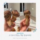 햇담송화 쫄깃쫄깃 고기같은 영양만점 참송이버섯 요리