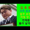 김호중 음자운전 처벌과 석방 시기는?? 이미지