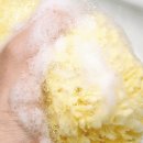 고시워시 이미지