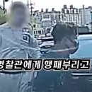 본 전 이미지
