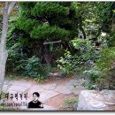 구룡촌 이미지