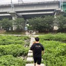 (주)우연컴퍼니 | 밀리랑🐶👣 남양주 평내동 [반려견 놀이터] 개장✌🏻