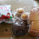 식빵이야기 Daum카페