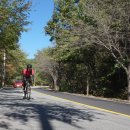 냉천골 할매집 | [모임후기] 2018.09.29(토) 대청호 with 투어리스트