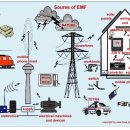 마인드웨이브 이미지