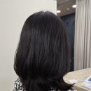 아디도(ADido) 이미지