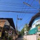 달우물농장 | [24-2] 12월 4주차_치앙마이 아니고 라이 입니다 [태국/치앙라이]