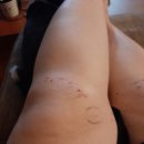 안성연세의원 이미지