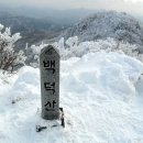 수협 앞 횡단보도 Daum카페
