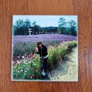 붓펜캘리&한글쓰기 2급 | [공지] 춘천캘리그라피 상상글씨공작소 클래스 및 출강 프로그램 안내